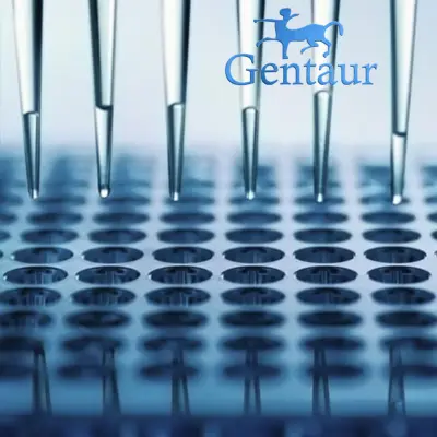 QuantiChrom Calcium Assay Test - 500 assays